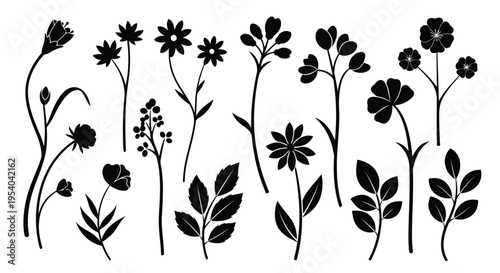 A variety of different flowers and plants growing in a garden setting