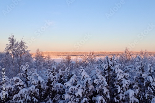 Winter Wonderland