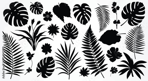 A variety of different leaf shapes and patterns displayed in a monochromatic design.