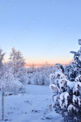 Winter Wonderland