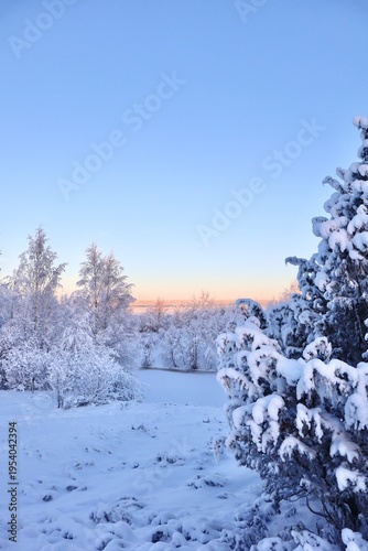 Winter Wonderland