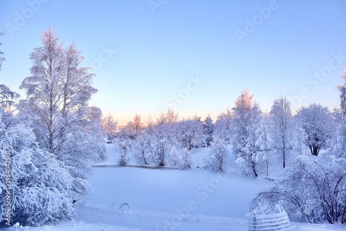 Winter Wonderland