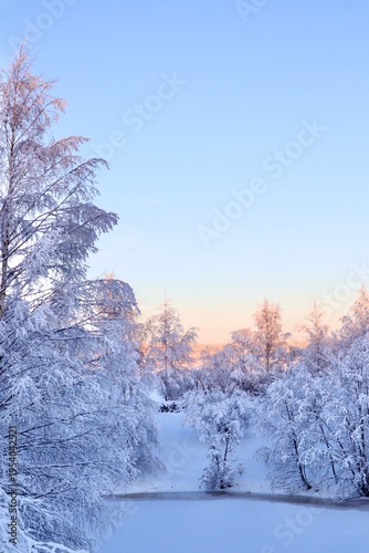 Winter Wonderland