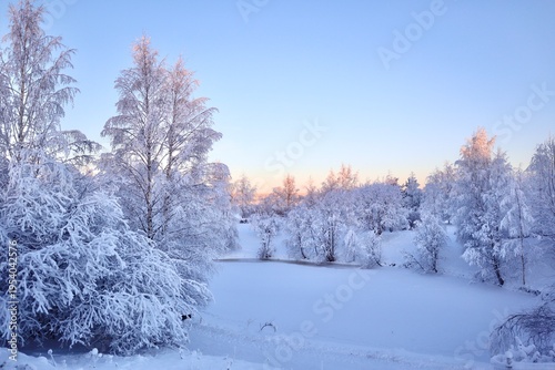 Winter Wonderland