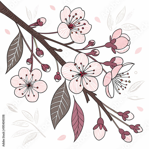 Cherry Blossom Branch Illustration with Pink Flowers Vector

