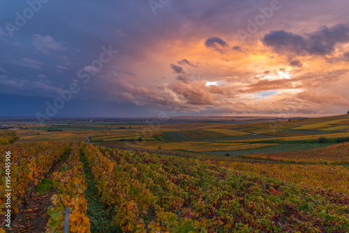 Bouzy Champagne vineyards glowing under dramatic autumn sky