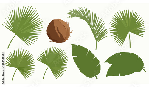 Realistic tropical palm leaves vector set coconut fronds and exotic foliage front view isolated on white
