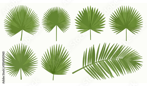 Tropical green palm leaves vector set coconut fronds summer foliage realistic isolated on white