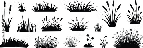 grass, plant, silhouette, vector, icon, nature, leaf, stem, flower, reed, meadow, field, garden, wild, foliage, design, art, graphic, illustration, decorative, pattern