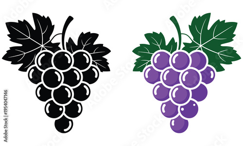 Konstfotografi Vector graphic illustration of a bunch of grapes in two color variations