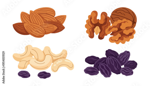 Nuts vector illustration of almonds, walnuts, cashews, and raisins