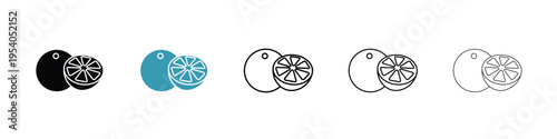 Orange fruit icon in line art style on white background for graphic and web design.