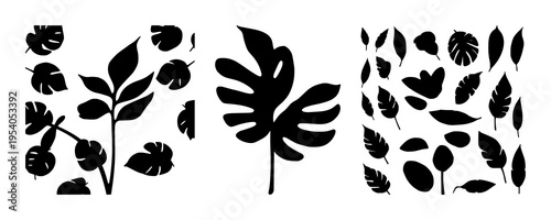 Monstera leaf silhouette set with elegant black line design featuring botanical, horticulture, plant art with plants and greens