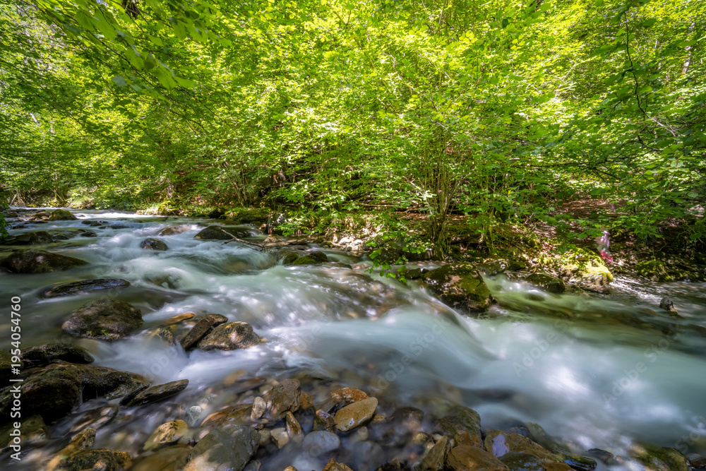 Obraz premium Forest river flowing through rocks in Ustou, Ariege
