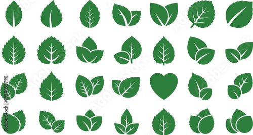 Solid silhouette vector icons set of green leaves, organic mint and basil herbal leaf collection for nature, ecology, and healthy food design