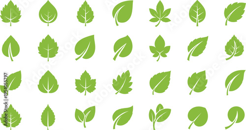 Solid silhouette vector icons set of green spring leaves, organic botanical foliage collection for nature, ecology, and eco friendly environment design