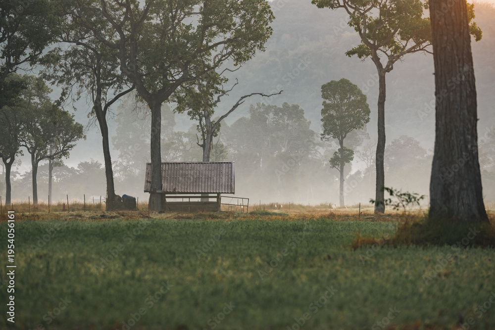 Obraz premium Sunset countryside landscape with rural field and small house peaceful nature golden light misty morning calm environment hope tranquility scenic farmland outdoor lifestyle