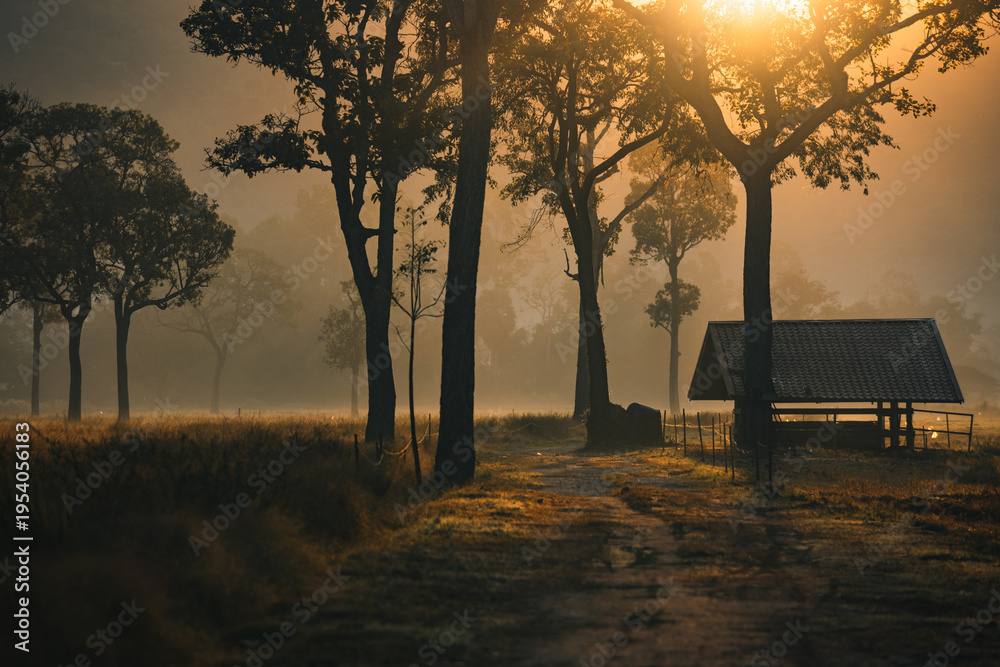 Fototapeta premium Sunset countryside landscape with rural field and small house peaceful nature golden light misty morning calm environment hope tranquility scenic farmland outdoor lifestyle