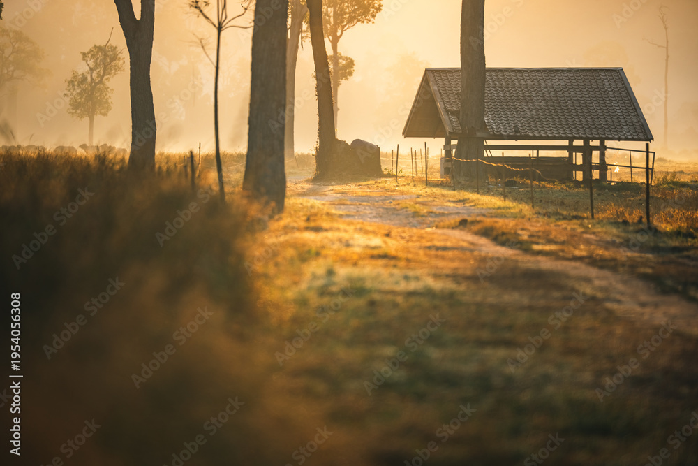 Fototapeta premium Sunset countryside landscape with rural field and small house peaceful nature golden light misty morning calm environment hope tranquility scenic farmland outdoor lifestyle