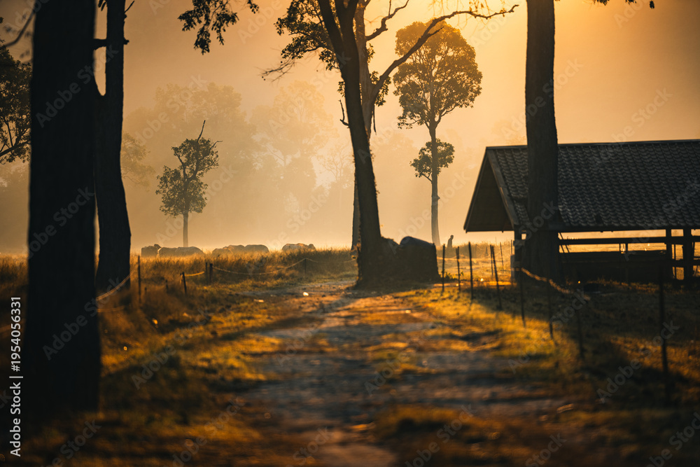 Obraz premium Sunset countryside landscape with rural field and small house peaceful nature golden light misty morning calm environment hope tranquility scenic farmland outdoor lifestyle