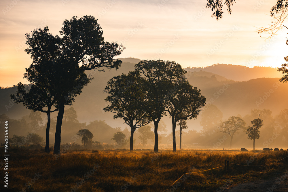 Obraz premium Sunset countryside landscape with rural field and small house peaceful nature golden light misty morning calm environment hope tranquility scenic farmland outdoor lifestyle