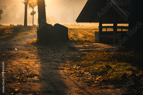 Sunset countryside landscap...