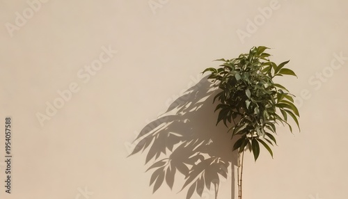 Vibrant green plant in a clear vase casting an elegant, elongated shadow against a serene beige wall, embodying minimalist natural beauty and calm