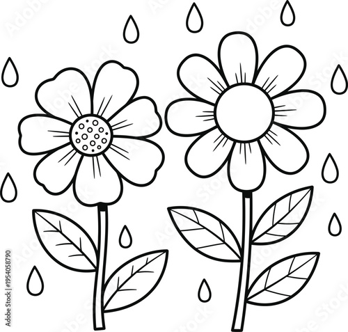 Two flowers in the rain with leaves and droplets