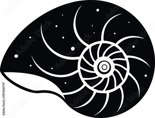 Black and white nautilus shell with spiral and stars