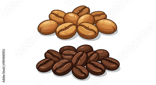 Set of Roasted Arabica and Robusta Coffee Beans Vector Illustration