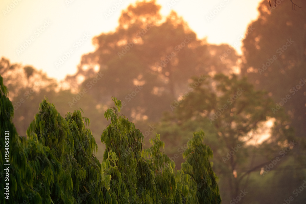 Fototapeta premium Sunset countryside landscape with rural field and small house peaceful nature golden light misty morning calm environment hope tranquility scenic farmland outdoor lifestyle