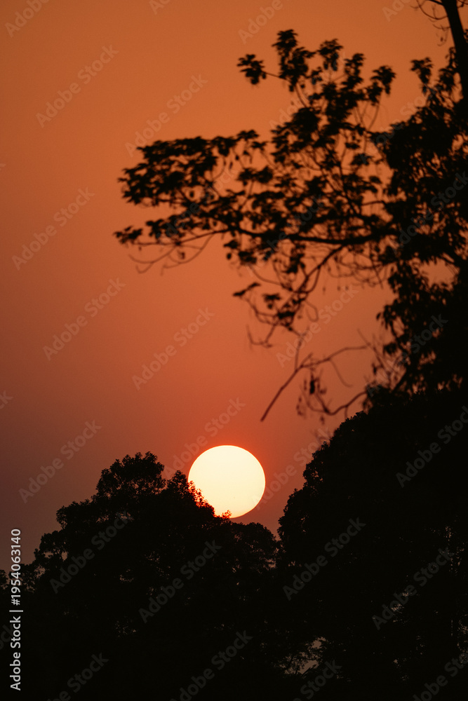 Fototapeta premium Sunset countryside landscape with rural field and small house peaceful nature golden light misty morning calm environment hope tranquility scenic farmland outdoor lifestyle