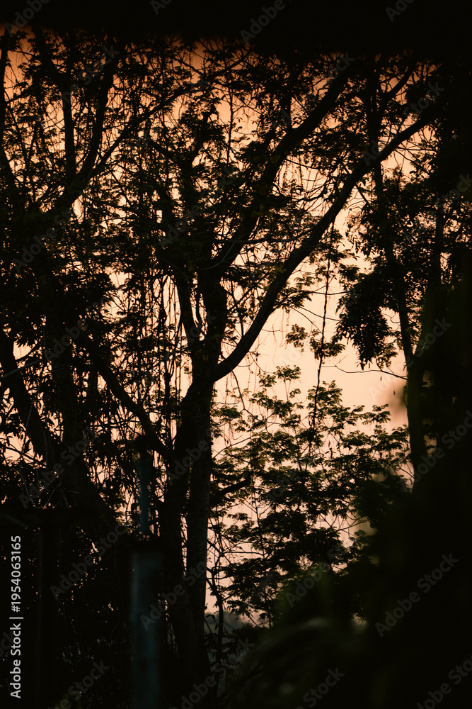 Fototapeta premium Sunset countryside landscape with rural field and small house peaceful nature golden light misty morning calm environment hope tranquility scenic farmland outdoor lifestyle