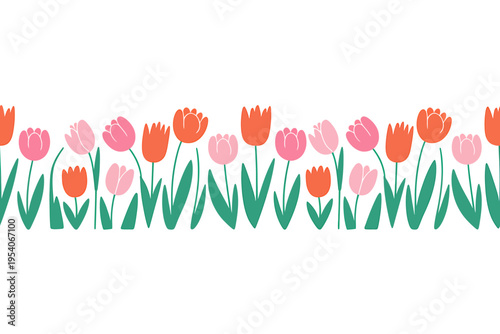 Colorful tulip flowers in pink and orange on green stems and leaves