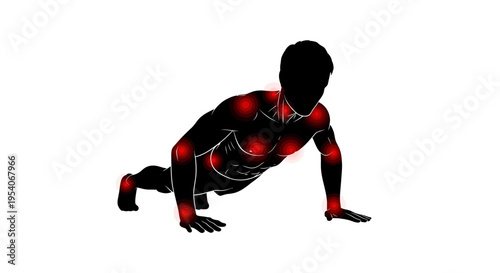 Human body in push-up position with highlighted muscles.