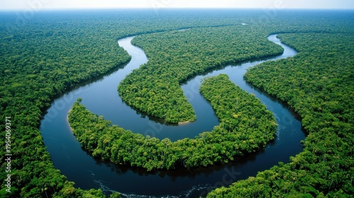 Wallpaper Mural An awe-inspiring aerial view of a massive, winding river coursing through the heart of a dense, vibrant green rainforest Torontodigital.ca