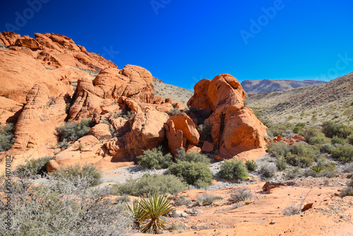 Schilderij op canvas Red Rock Canyon, Nevada, USA