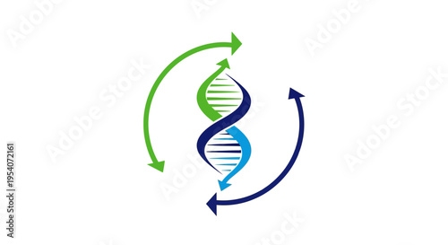 Green and Blue DNA Helix with Opposing Circular Arrows on Isolated White Background