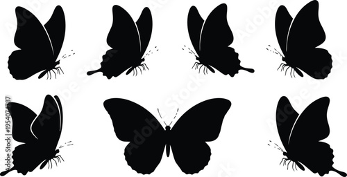 Butterfly Silhouettes in Multiple Perspectives