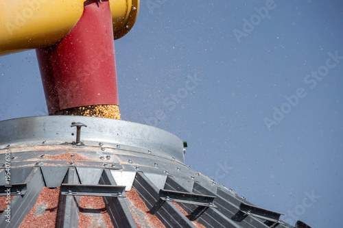 corn being loaded into a grain bin