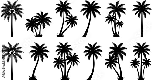 Black palm trees set isolated on white background featuring tropical palm silhouettes in various shapes and sizes. Ideal for posters, banners, branding, travel themes, summer designs, and promotional 