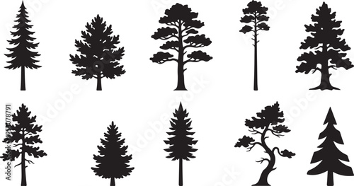 Collection of various evergreen trees depicted in black silhouette
