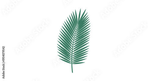 Single Green Palm Leaf Illustration.