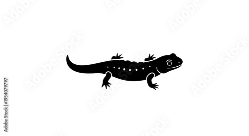 Black Silhouette of a Salamander.