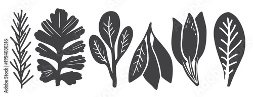 Herb Leaf Vector Set — Black Botanical Silhouette Collection. Hand Drawn Plant Illustration, Culinary Herbs: Rosemary, Sage, Thyme. Kitchen Graphic Design, Minimal Flat Icons, Monochrome Clipart