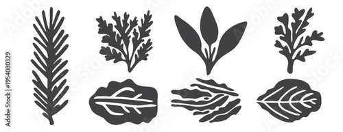 Botanical collection of hand drawn plant and leaf silhouettes, vintage woodcut ink print with nature elements, organic seaweed and algae set, minimalist lino cut style, rustic folk art graphics