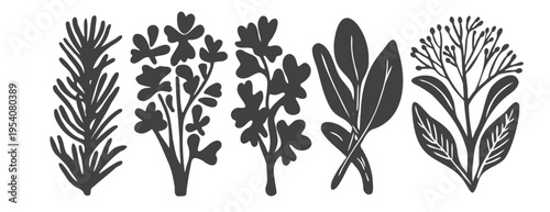 Botanical collection of herb and leaf silhouettes, minimalist black and white plant illustration set, vector graphic with rosemary, thyme, sage and parsley sprigs, kitchen culinary design elements