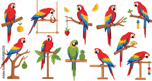 Colorful Parrot Set Vector Illustration with Tropical Birds on Perches, Hanging Fruits, and Playful Poses for Animal Wildlife and Pet Shop Design