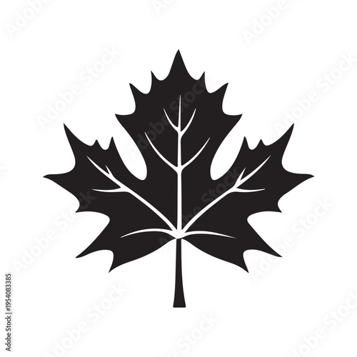 canadian maple leaf silhouette white background vector illustration