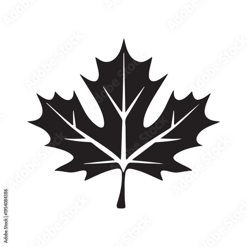 canadian maple leaf silhouette white background vector illustration
